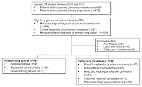 By definition, the final stage of lung cancer implies that treatment options have been exhausted; Improved Differentiation Between Primary Lung Cancer And Pulmonary Metastasis By Combining Dual Energy Ct Derived Biomarkers With Conventional Ct Attenuation Springerlink