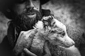 While looking at pictures of cowboys, the names of many great photographers  always pop up. William Albert Allard's @williamalbertallard name is  certainly well placed