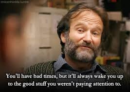 Our writers come from a wide variety of backgrounds. Robin Williams Zitate Eine Auswahl Seiner 25 Beruhmtesten Spruche Kris Stelljes Unternehmer Investor Autor