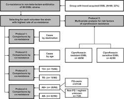 Fluoroquinolone Antibiotic Users Select Fluoroquinolone