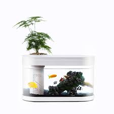 Geometry Fish Tank Aquaponics Ecosystem Small Water Garden Home Decor In 2020 Small Water Gardens Fish Tank Aquaponics Aquaponics Ecosystem