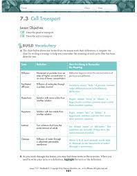 Chapter 2 the chemistry of life. 249883860 Biology 7 3 And 7 4 Ws Key