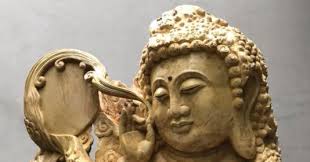 Gỗ nu găng bầu là gì, đặc điểm sinh thái và ứng dụng của gỗ nu găng bầu