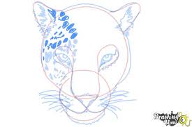 The new lines in each step are shown in red, so you'll know exactly what. How To Draw A Cheetah Face Drawingnow