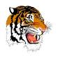 Ipswich Tigers vs Pentucket Panthers event image