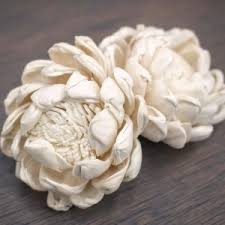 Check spelling or type a new query. Sola Astra Flowers Luv My Decor Complete Indian Decor