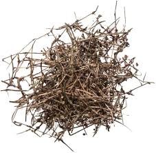 Image result for Oldenlandia