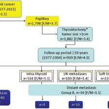 Thyroid supplements designed specifically for thyroid patients with over 2,000 reviews. Papillary Thyroid Cancer Patients With Distant Metastasis And Long Term Download Scientific Diagram