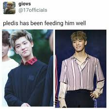 What Brand Of Puberty Do Idols Get Because It Certainly Isn T The Regular Kind Lol Seventeen Wonwoo Mingyu Seventeen Dino Seventeen