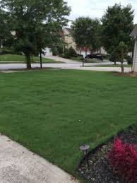 Hired 517 times on greenpal. Lawn Care Companies In Suwanee Lawn Doctor Of Lawrenceville