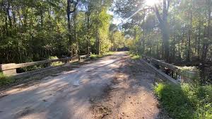 Heartbeat Bridge – bridge