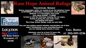 View our pet care and training resources. Cats Need Your Tender Love Care At Petsmart Cat Adoption Center Naugatuck Ct Patch