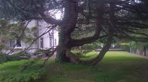 Side View Picture Of Sea Dew Guesthouse Tullamore Tripadvisor
