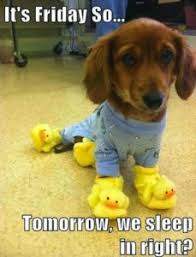 Funny Friday Archives Brava Talent Solutions A happy friday says it all, the start for a wonderful weekend. funny friday archives brava talent