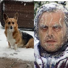 Lisa Boros's Instagram, Twitter & Facebook