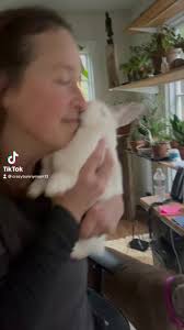 Bunny Tango❤️❤️💕💕#bunny #HotwireHotelGoals #DADMOVES #fyp #foryou  #foryoupage #loveyou #mom