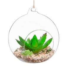 Terrarium Boule Artificiel Maisons Du Monde Terrarium Maison Du Monde Mobilier De Salon