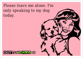 If Given A Choice I D Rather Spend My Days With Our Dogs Or With Friends Who Love Dogs The More Time I Spend With People Who Aren T Dog Love Funny Funny