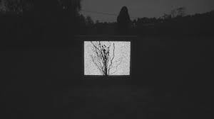 Spiritbox The Beauty Of Suffering Official Youtube Suffer Beauty You Left Me