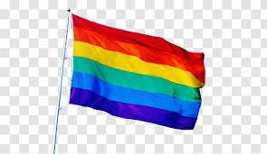 Check spelling or type a new query. Rainbow Flag Transgender Flags Queer Transparent Png