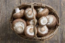 9 Edible Mushroom Varieties