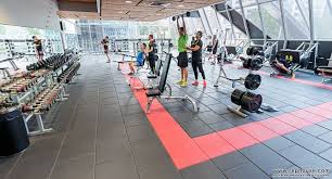 Neoflex High Impact Tiles In The Freeweight Areas Of Fitness First Qv Platinum In Melbourne Australia Floor Workouts Weights Workout Fitness