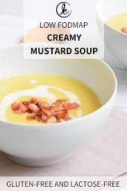 Low Fodmap Mustard Soup Gluten Free And Lactose Free Recipe Fodmap Recipes Low Fodmap Recipes Fodmap Soup Recipe