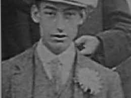 Dudley pub plaques honour three brothers who fought in First World War