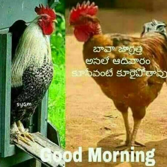 Good Morning