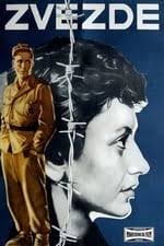 Peter Vasilev — The Movie Database (TMDB)