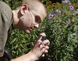 Kalamazoo and WMU: People, places and things that make us unique