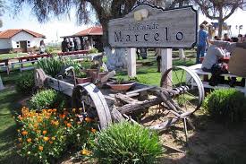 Save baja california sur to your lists. Baja California Ojos Negros Tal Wein Und Kase Route Tour 2021 Ensenada Tiefpreisgarantie