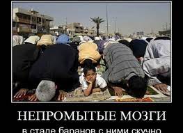 Скачать прикольные и красивые картинки: Подборка демотиваторов (черный  юмор) на fun.tochka.net