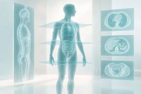 Alibaba DAMO Academy Open-Sources Expert-Level Abdominal CT Model DAMO RADAR in Science
