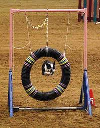 Jumps, tunnels, jump cup strips, wing jumps, and more for your dog! Diy How To Make Your Own Dog Agility Course