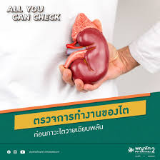 ภาวะไตวายเฉียบพลันในผู้ป่วย icu เกือบทั้งหมดเกิดจากปัจจัยหลายอย่างร่วมกัน ได้แก่ hypovolemia, sepsis, low cardiac output states, nephrotoxic agents เป็นต้น กลไกการ. à¹„à¸•à¸§à¸²à¸¢à¹€à¸‰ à¸¢à¸šà¸žà¸¥ à¸™ Phyathai2 Hospital Facebook
