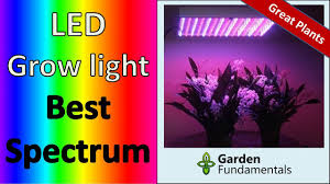 Grow lights are artificial light sources, usually electric lights used to grow plants. Led Grow Lights Getting The Right Color Spectrum Garden Myths