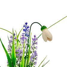 Image result for ghiocel