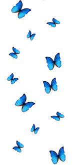 Check spelling or type a new query. Aesthetic Blue Butterflies Wallpaper Butterfly Wallpaper Iphone Butterfly Wallpaper Wallpaper Iphone Neon