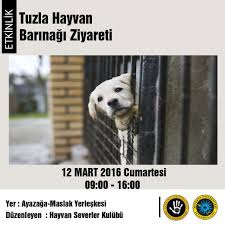 Beykent Universitesi On Twitter Tuzla Hayvan Barinagi Ziyareti 12 Mart 2016 Cumartesi Gunu 09 00 Da Sen De Katil Dostlarimiz Seni Bekliyor Https T Co Opjqq8ykjs