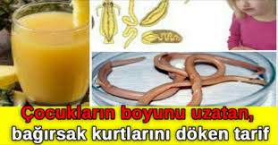 Bu Tarif Bagirsak Kurdunu Dokmek Icin Birebir Ayni Zamanda Cocuklarin Da Boyunu Uzatiyor Bagirsak Kurdu Nasil Dokulur Ne Yapilmalidir Okumak Ici Saglik Cocuk