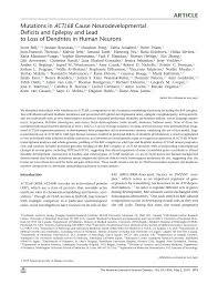 Introduction to mutations mutation simulation. Pdf Mutations In Actl6b Cause Neurodevelopmental Deficits And Epilepsy And Lead To Loss Of Dendrites In Human Neurons