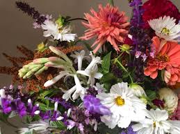 Product reviews · price comparision · trending offers Tennessee Cut Flower Company