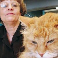 Pinguin Pierre bekommt eigenen Neoprenanzug