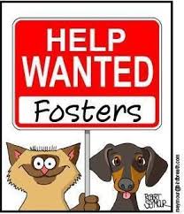 Www Tanyasinc Org If Everyone Could Take Just One What A Difference We Could Make Think Adopt Don T Shop And Foster Foster The Fosters Rescue Dog Adoption
