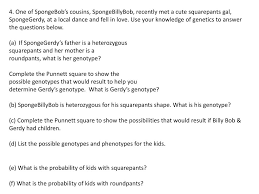 Spongebob genetics quiz answer key + mvphip answer key : Ppt Spongebob Genetics 1 2 Powerpoint Presentation Free Download Id 1895456