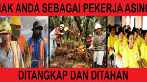 Penghantaran balik pekerja asing tidak berdaftar bukan satu penyelesaian bagi menangani isu pekerja asing tanpa izin (pati). Ini Hak Hak Anda Sebagai Pekerja Asing Di Malaysia Asklegal My