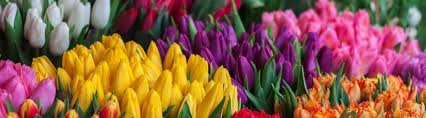 The company provides a broad range of merchandise. Disentangling The Effect Of Covid 19 On 1 800 Flowers Com Inc S Share Price