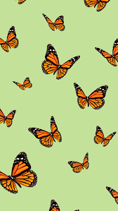 Butterfly Iphone Tapety Esteticka Ipcwallpapers In 2020 Butterfly Wallpaper Iphone Aesthetic Iphone Wallpaper Pretty Wallpaper Iphone