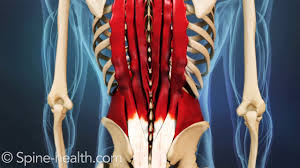 Pin On Hip Sacrum Sacroiliac Joint Dysfunction Si Joint Pain